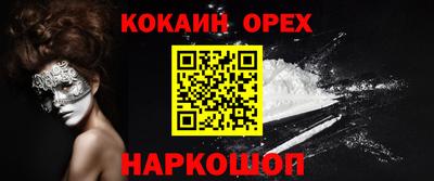 гидра Будённовск