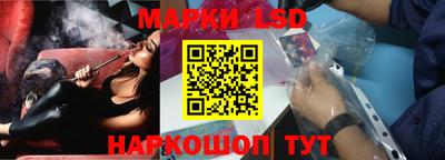 гидра Будённовск