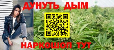 гидра Будённовск