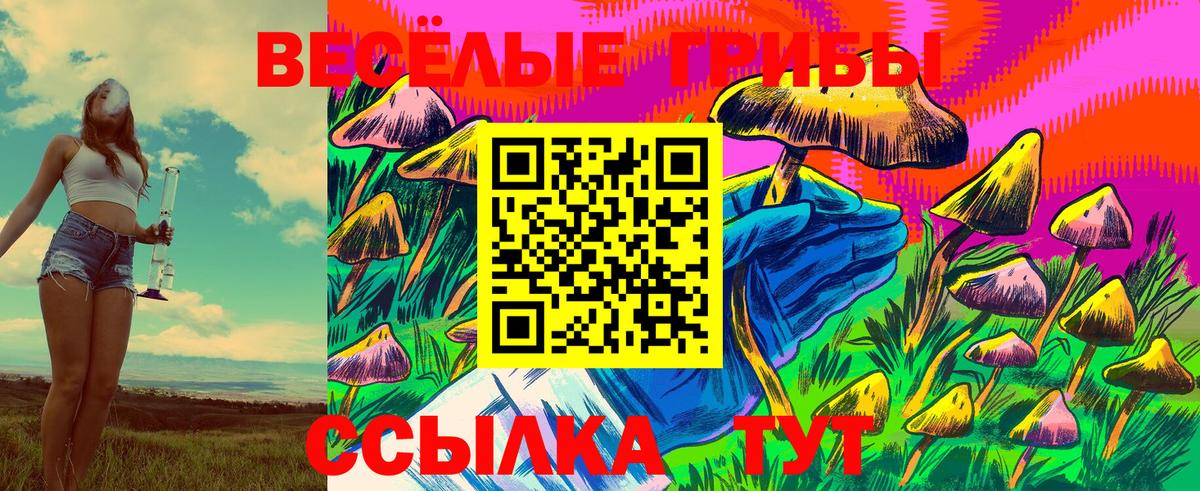 хочу наркоту  Псилоцибиновые грибы мухоморы  Вход с VPN  Михайловск 